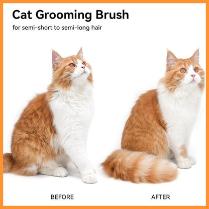 3-in-1 Steamy Pet Brush — Self-Cleaning Steam Cat & Dog Brush for Shedding, Tangled Hair & Relaxing Massage