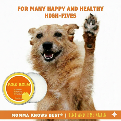 Pet Restoration Kit: The Botanical Solution for Eyes & Paws