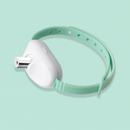 Automatic Laser Pointer Collar