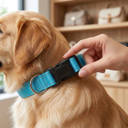 LED Dog Collar - Glow in the Dark Safety Pet Collar with 3 Flashing Modes, Adjustable & Water-Resistant for Maximum Night Visibility and Safety