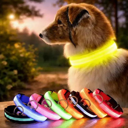 LED Dog Collar - Glow in the Dark Safety Pet Collar with 3 Flashing Modes, Adjustable & Water-Resistant for Maximum Night Visibility and Safety