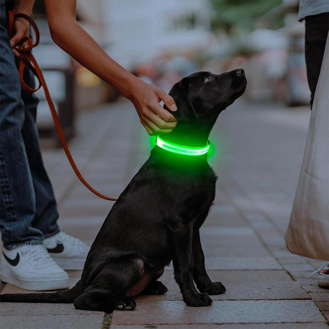 LED Dog Collar - Glow in the Dark Safety Pet Collar with 3 Flashing Modes, Adjustable & Water-Resistant for Maximum Night Visibility and Safety