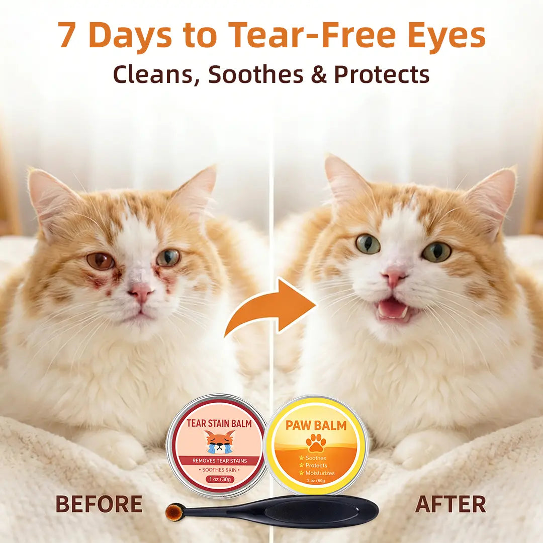 Premium Pet Eye & Paw Restoration Kit — Plant-Based Tear Stain Remover & Soothing Balm Set