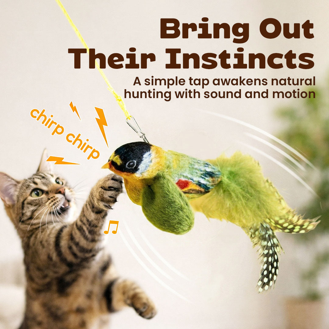 The Realistic Bird Toy That Keeps Cats Hooked