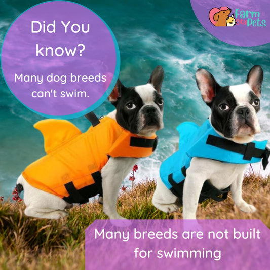 SharkDog Professional Dog Lifesaver – Adjustable Swim Vest with Extra Buoyancy & Top Rescue Handle, Secure Safety Guard for Every Dog