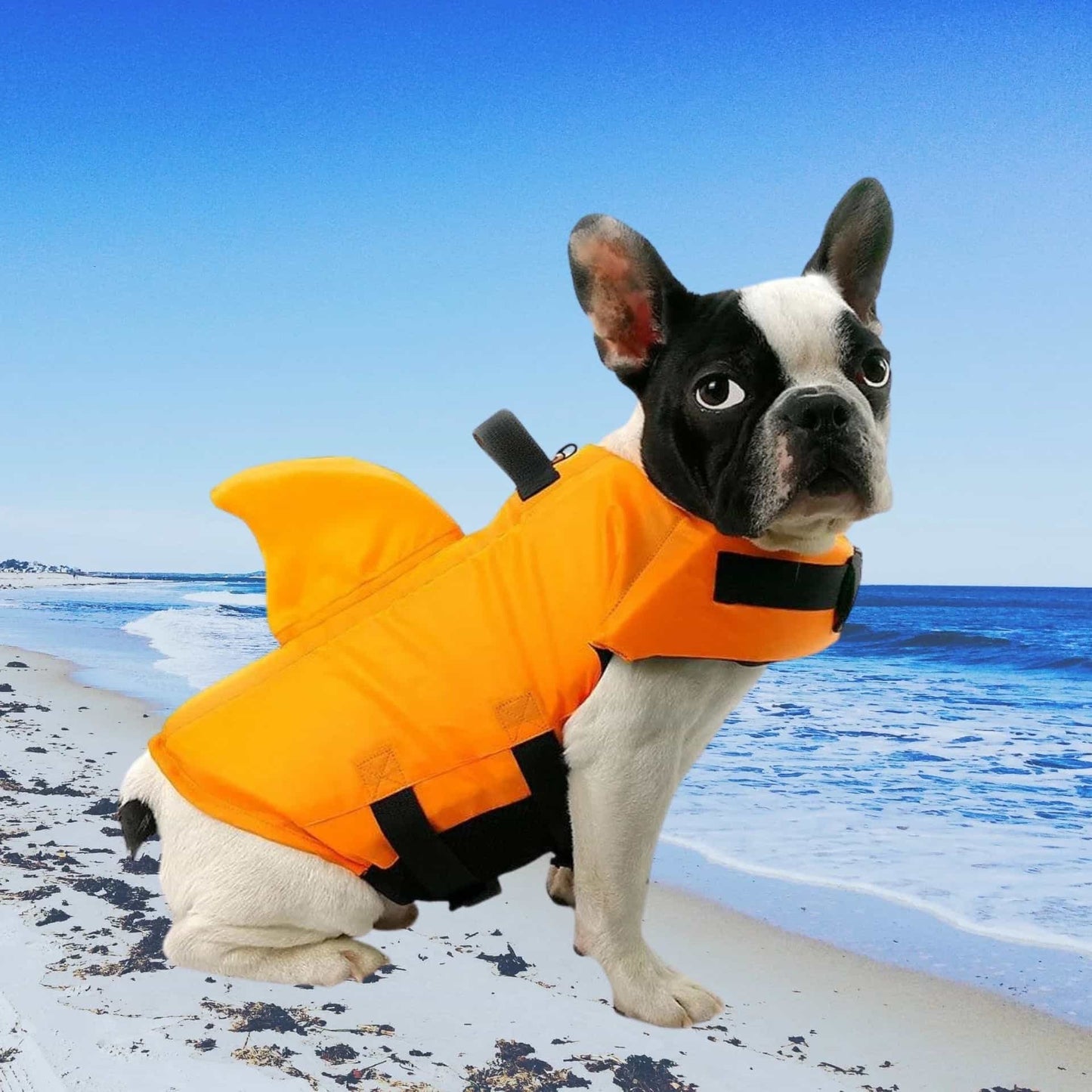 SharkDog Professional Dog Lifesaver – Adjustable Swim Vest with Extra Buoyancy & Top Rescue Handle, Secure Safety Guard for Every Dog