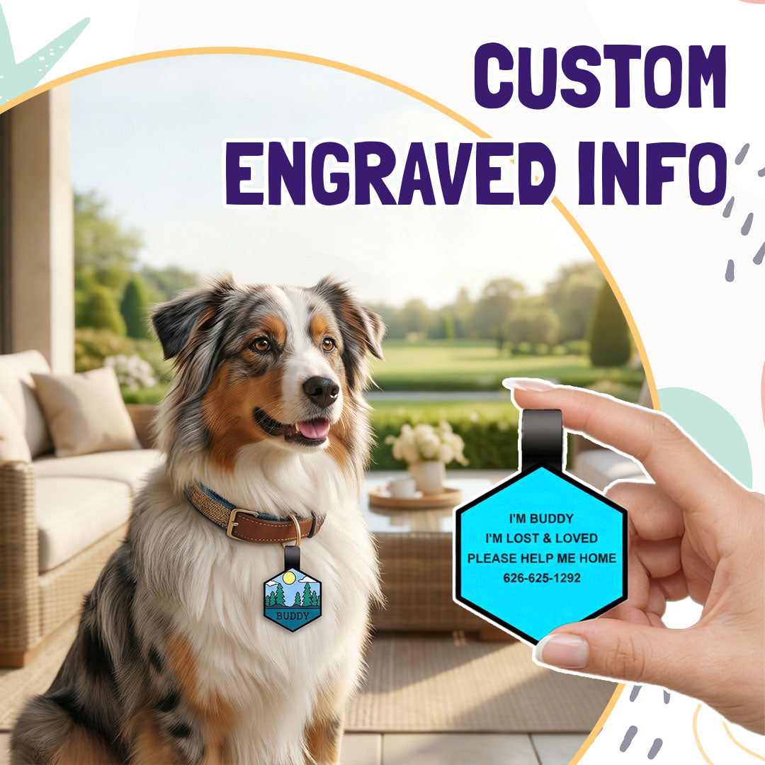 Custom Silicone Pet ID Tag – Quiet, Durable, Waterproof for Dogs, Cats & More