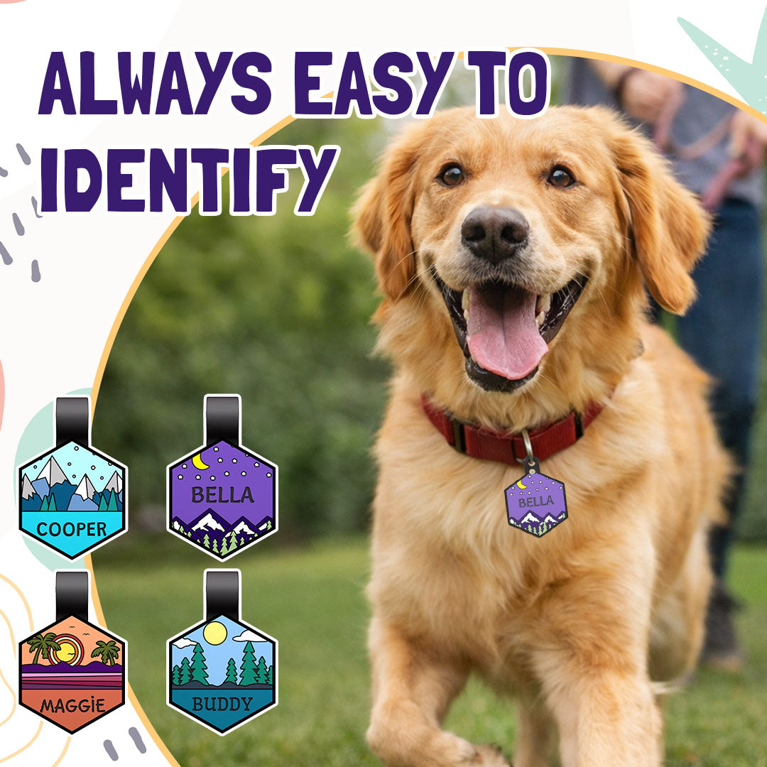 Custom Silicone Pet ID Tag – Quiet, Durable, Waterproof for Dogs, Cats & More
