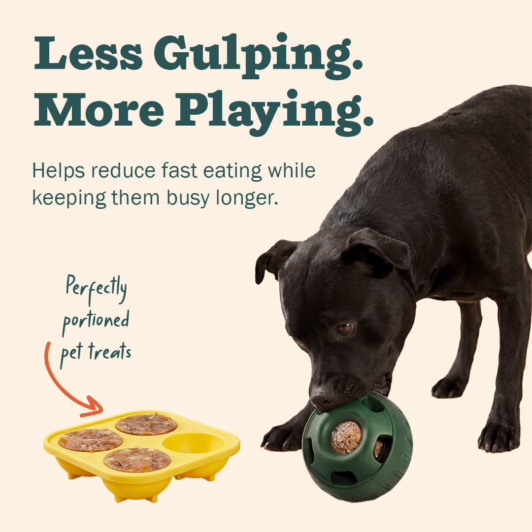 Slow Feeder Dog Toy – 30+ Min Interactive Treat Ball for Calm & Busy Dogs