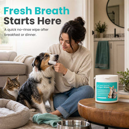 Teeth Cleaning Finger Wipes
