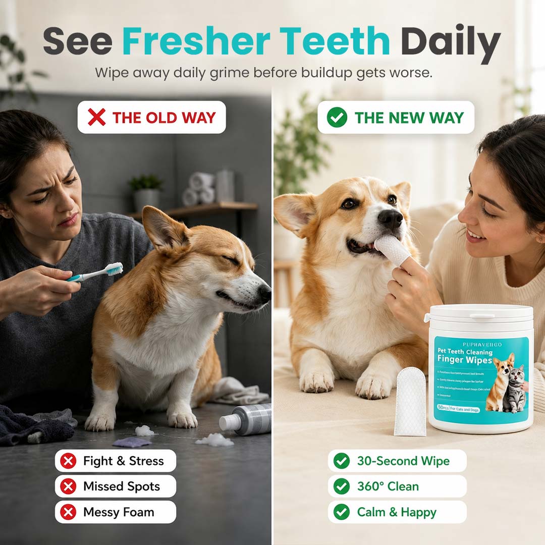 Teeth Cleaning Finger Wipes
