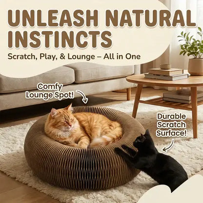 😸 The All-in-One Interactive Tunnel & Rest-Haven — 🔥 50% OFF Limited Deal!