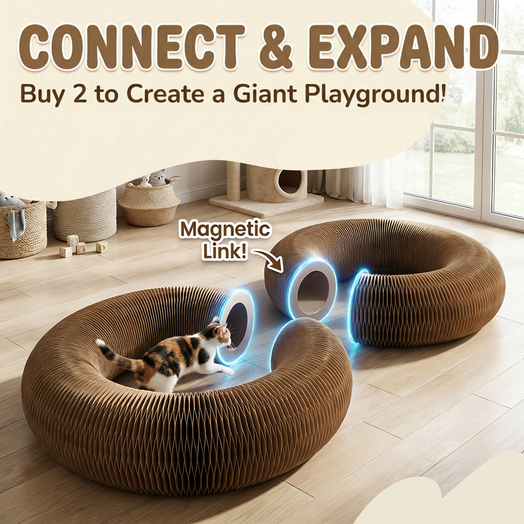 😸 The All-in-One Interactive Tunnel & Rest-Haven — 🔥 50% OFF Limited Deal!