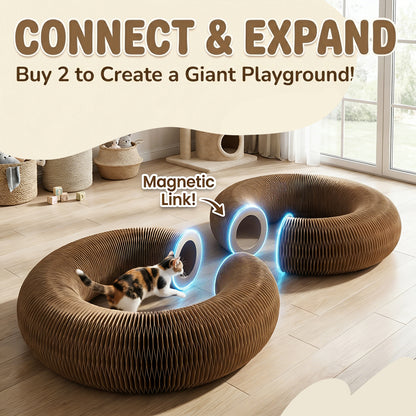 😸 The All-in-One Interactive Tunnel & Rest-Haven — 🔥 50% OFF Limited Deal!