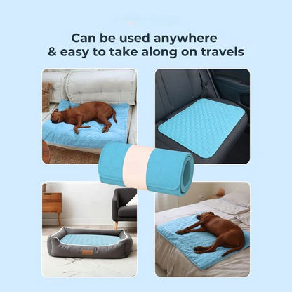 ❄️JEREMYTIS™ Eco Cooling Mat – 4x Cooling Power for Pets! 🐶🌿 Limited-Time Offer ！