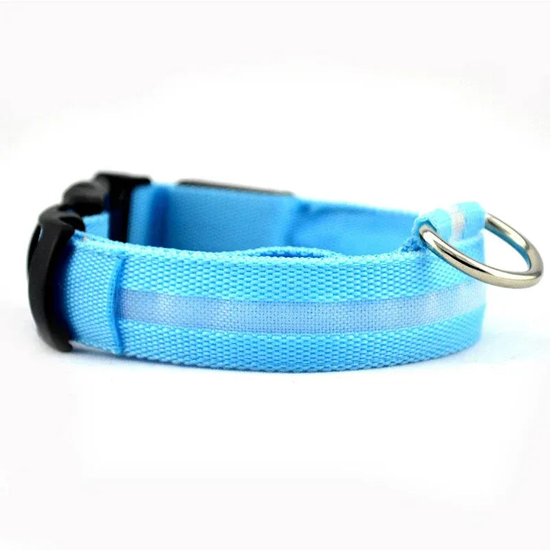 LED Dog Collar - Glow in the Dark Safety Pet Collar with 3 Flashing Modes, Adjustable & Water-Resistant for Maximum Night Visibility and Safety