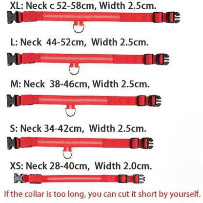 LED Dog Collar - Glow in the Dark Safety Pet Collar with 3 Flashing Modes, Adjustable & Water-Resistant for Maximum Night Visibility and Safety