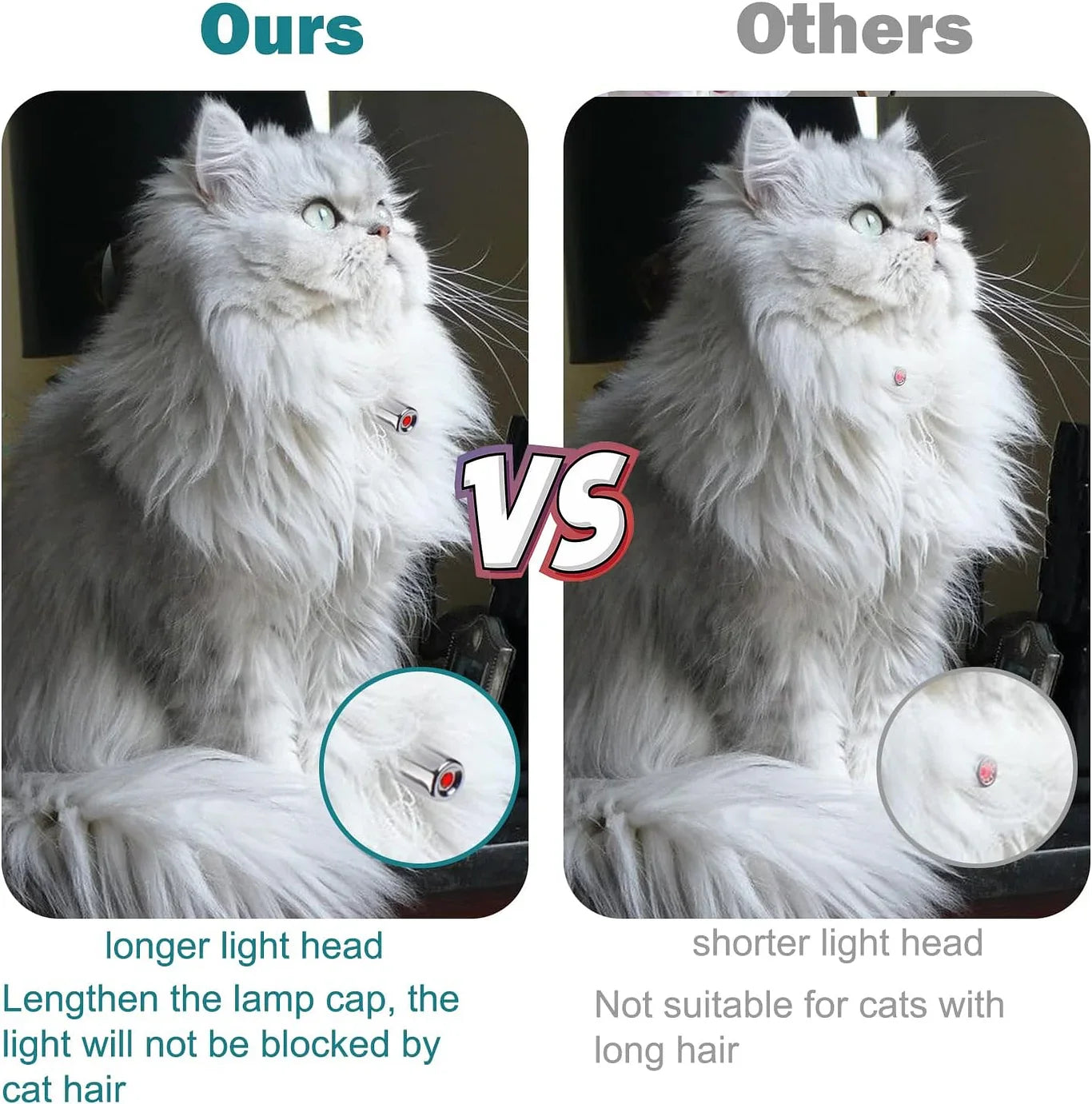 Automatic Laser Pointer Collar