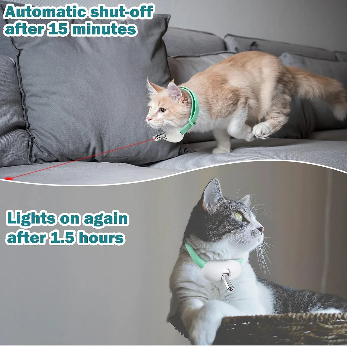 Automatic Laser Pointer Collar