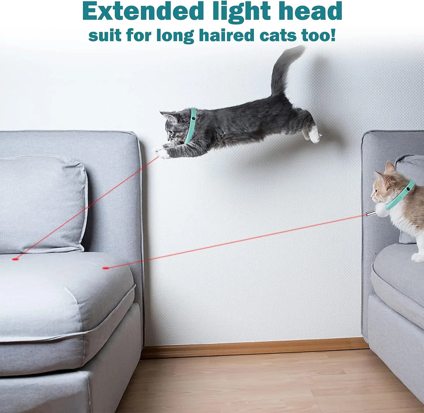 Automatic Laser Pointer Collar