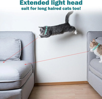 Automatic Laser Pointer Collar