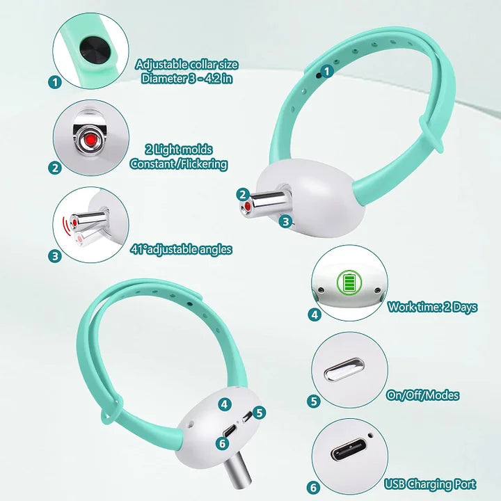 Automatic Laser Pointer Collar
