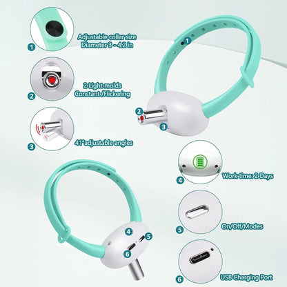 Automatic Laser Pointer Collar
